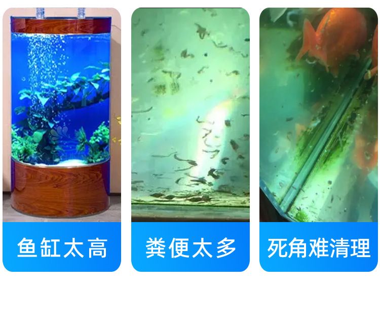 魚缸虹吸噪音大如何解決小妙招：魚缸虹吸噪音大怎么辦 魚缸百科 第4張