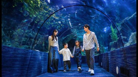 鄭州水族館：鄭州十大適合端午旅游的地方no.6鄭州十大最適合端午旅游的地方