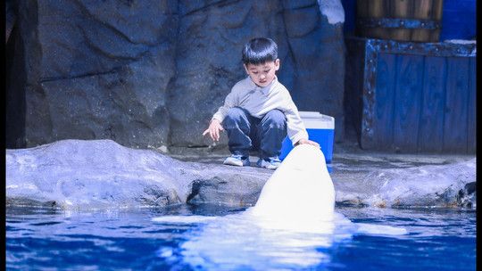 鄭州水族館：鄭州十大適合端午旅游的地方no.6鄭州十大最適合端午旅游的地方