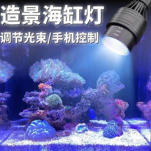 魚缸珊瑚石有什么用：珊瑚石在魚缸中的具體用途 魚缸百科 第2張