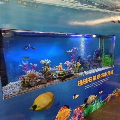 魚缸珊瑚石有什么用：珊瑚石在魚缸中的具體用途 魚缸百科 第5張