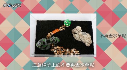 魚缸操作方法：魚缸操作方法和注意事項(xiàng) 魚缸百科 第3張