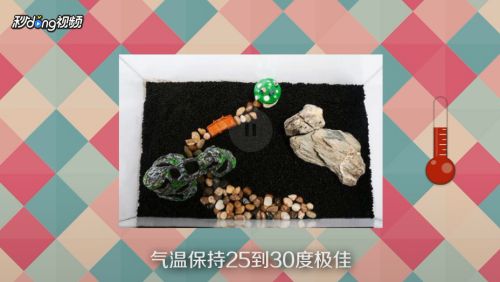 魚缸操作方法：魚缸操作方法和注意事項(xiàng) 魚缸百科 第4張