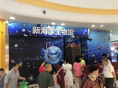 眉山水族館：周記初中暑假周記(一) 全國觀賞魚市場 第1張