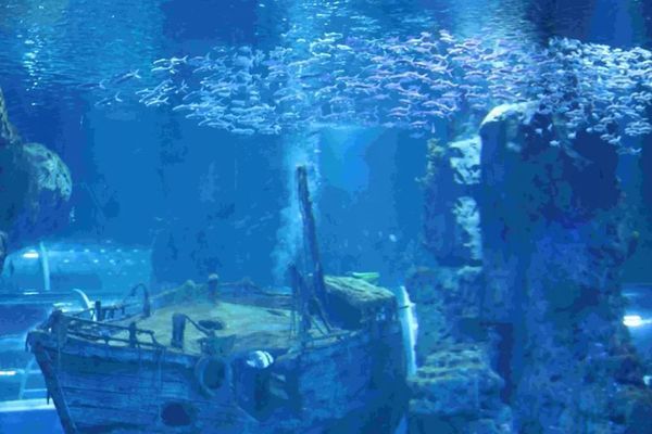 西寧水族館：西寧千湖水族館