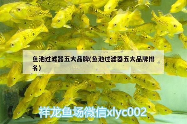 魚缸過濾器品牌排行：魚缸過濾器十大品牌排行 魚缸百科 第2張