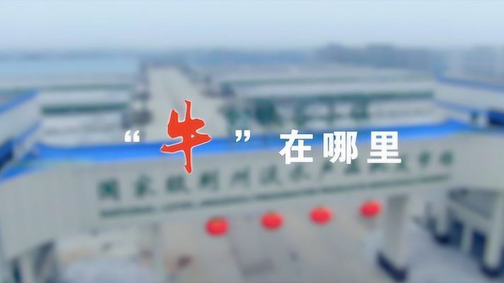 荊州水族批發(fā)市場(chǎng)：荊州魚(yú)缸批發(fā)市場(chǎng)