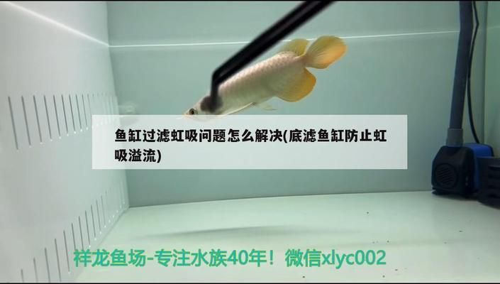 魚缸虹吸圖解：魚缸虹吸底濾原理圖解 魚缸百科 第3張