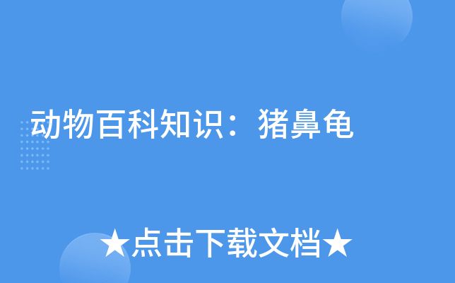 豬鼻龜越大越不值錢嗎 豬鼻龜百科 第2張