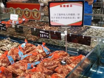 威海魚缸原材料廠家：威海魚缸定制廠家 魚缸百科