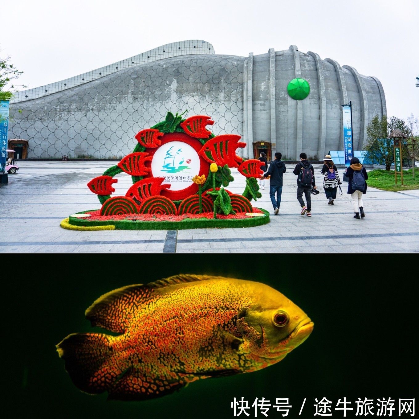 宿遷水族館：宿遷宿遷水族館親子活動安排通達水族館環(huán)保教育項目 全國觀賞魚市場 第1張