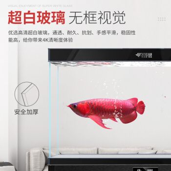 紅龍魚褪色原因：-紅龍魚褪色的原因是什么，紅龍魚褪色的原因是什么 水族問答 第5張