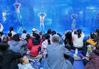 濱州水族館：年輕人都去哪里玩 全國觀賞魚市場 第3張