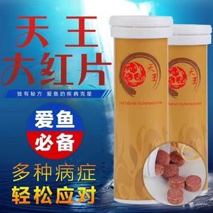 龍魚霉菌怎么治療：如何治療龍魚霉菌病 龍魚百科 第3張