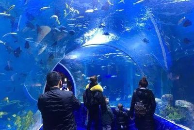 延安水族館：延安樂園水族館 全國觀賞魚市場(chǎng) 第3張