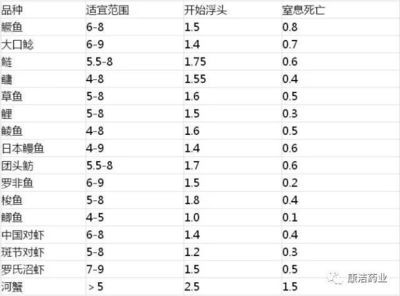 龍魚狀態(tài)不佳怎么辦 龍魚百科 第2張