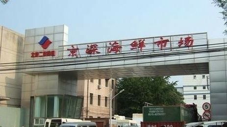 北京水族批發(fā)市場(chǎng)：北京哪里有觀賞魚市場(chǎng) 全國(guó)觀賞魚市場(chǎng) 第7張