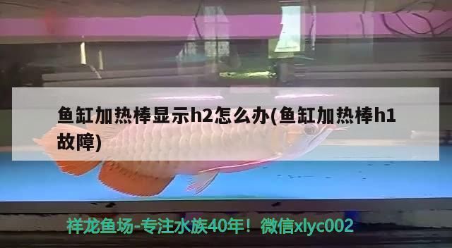 魚(yú)缸加熱棒顯示h1怎么回事：魚(yú)缸加熱棒顯示h1可能有多種原因解決方案和解決方案 魚(yú)缸百科 第1張