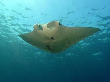 銀川水族館：中國寧夏銀川水族館程之成水族館程之成水族館開放時間 全國觀賞魚市場 第4張