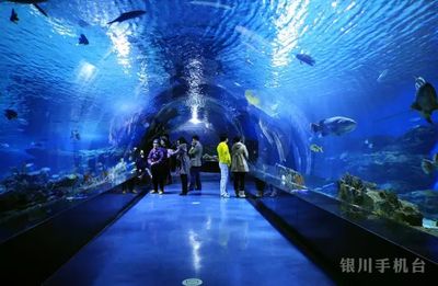 銀川水族館：中國寧夏銀川水族館程之成水族館程之成水族館開放時間