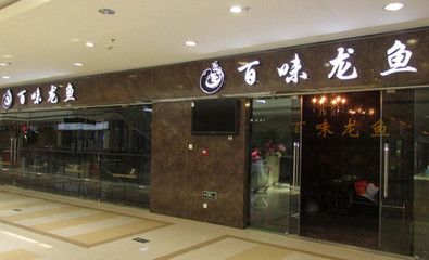 鄭州龍魚專賣店：鄭州龍魚專賣店(龍魚專賣店的價(jià)格與售后服務(wù) 全國(guó)觀賞魚市場(chǎng) 第3張