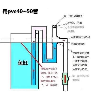 魚缸的水泵不工作原理：魚缸水泵不工作的原因及其解決方案 魚缸百科 第1張