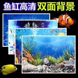 魚缸背景貼紙怎樣粘貼：魚缸背景貼紙的粘貼方法 魚缸百科 第2張