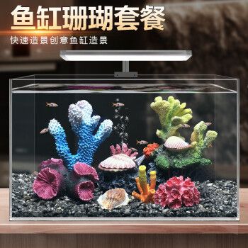 魚缸珊瑚造景圖片高清：阿里巴巴珊瑚魚缸造景大全擁有海量精選高清圖片 魚缸百科 第4張