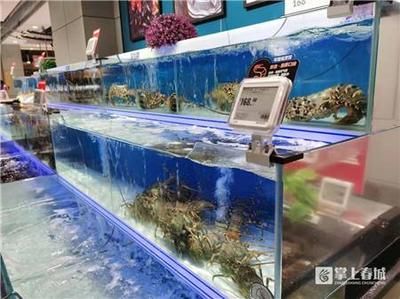 昭通水族館：昭通哪里有賣魚缸的店鋪呢 全國觀賞魚市場 第3張