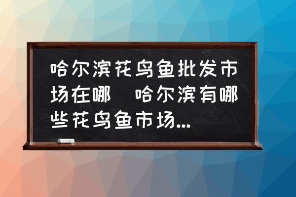 哈爾濱觀賞魚批發(fā)市場：哈爾濱哈爾濱觀賞魚市場 全國觀賞魚市場 第7張