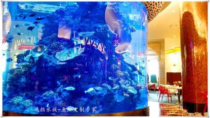 麗水水族批發(fā)市場(chǎng) 全國(guó)觀賞魚(yú)市場(chǎng) 第2張