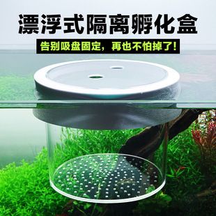 魚缸隔離盒是干什么的：魚缸隔離盒主要用于保護魚類 魚缸百科 第3張