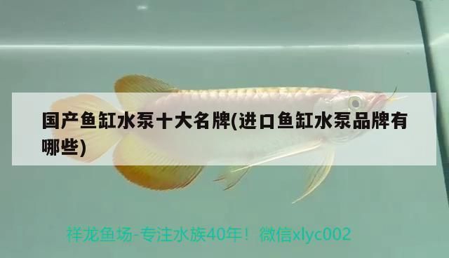 十大品牌魚(yú)缸水泵：2024年魚(yú)缸水泵十大品牌排行榜 魚(yú)缸百科 第2張