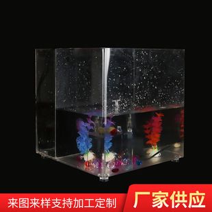 來賓魚缸批發(fā)市場：南寧來賓魚缸批發(fā)市場 全國觀賞魚市場 第2張