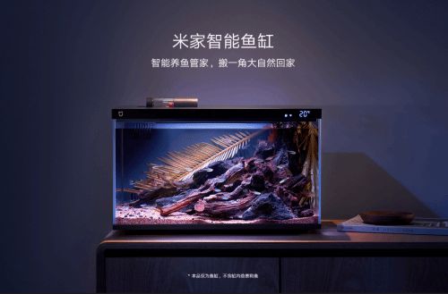 小米魚缸童鎖：如何重置小米魚缸童鎖 魚缸百科 第5張