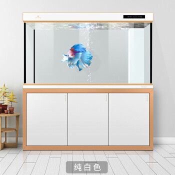 金龍魚水族箱過濾系統(tǒng)選擇：選擇合適的水族箱過濾系統(tǒng)對于金龍魚的健康至關重要