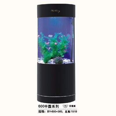 成都翌美魚缸廠：亞克力魚缸制作工藝介紹翌美水族用品市場分析 魚缸百科 第3張