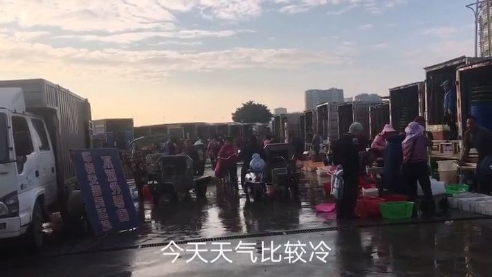 珠海水族批發(fā)市場(chǎng)：珠海水族批發(fā)基地在哪里有啊多少錢 全國(guó)觀賞魚市場(chǎng) 第1張