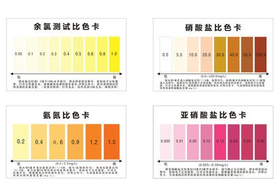 紅龍魚要多大的魚缸：關(guān)于紅龍魚的一些問題 水族問答 第2張