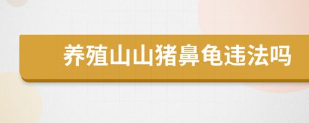 豬鼻龜養(yǎng)會犯法嗎：養(yǎng)豬鼻龜是否犯法的詳細解釋：養(yǎng)豬鼻龜是否犯法的詳細解釋 豬鼻龜百科 第3張