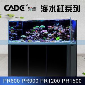 品牌魚(yú)缸價(jià)格及圖片：品牌魚(yú)缸價(jià)格與圖片詳解，簡(jiǎn)約而現(xiàn)代玻璃魚(yú)缸價(jià)格與圖片 魚(yú)缸百科 第5張