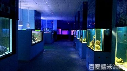 陽江水族館：美的印章、氣韻生動的位于中國