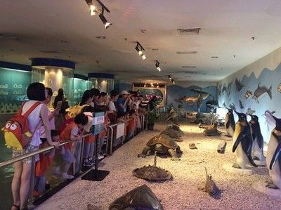 雞西水族館：雞西愛丁堡賓館 全國觀賞魚市場 第2張