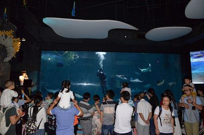 雞西水族館：雞西愛丁堡賓館 全國觀賞魚市場 第1張