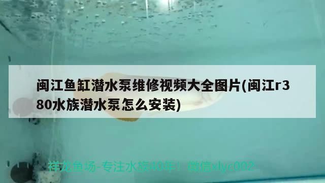 閩江魚缸容易爆缸嗎視頻播放：閩江魚缸容易爆缸嗎