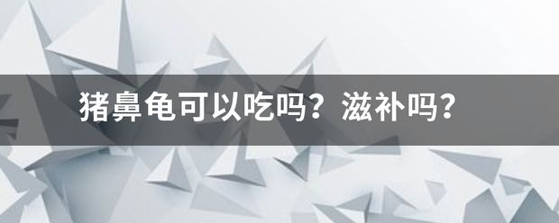 豬鼻龜好吃嗎？：豬鼻龜怎么飼養(yǎng)？ 豬鼻龜百科 第9張