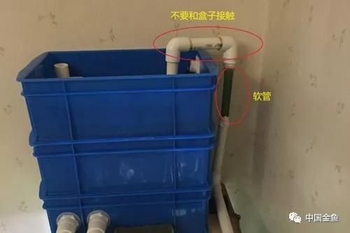 魚缸潛水泵怎么安：“魚缸潛水泵怎么安詳情”潛水泵故障排除方法 魚缸百科 第2張