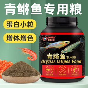 紅龍魚最貴的魚排名前十：紅龍魚中價格最貴的十種魚