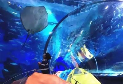 南陽水族館：南陽市水飾界水族館