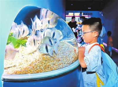 南陽水族館：南陽市水飾界水族館